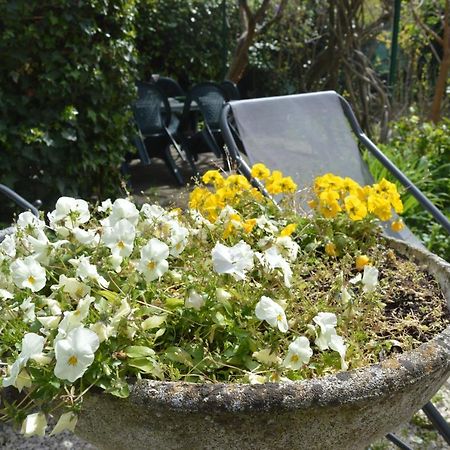Il Giardino Nel Parco R&B Hotell Bologna Eksteriør bilde