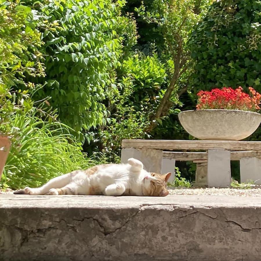 Il Giardino Nel Parco R&B Hotell Bologna Eksteriør bilde